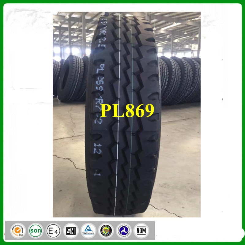 PL869